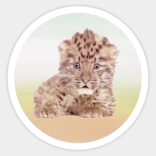 Save Amur Leopard Sticker